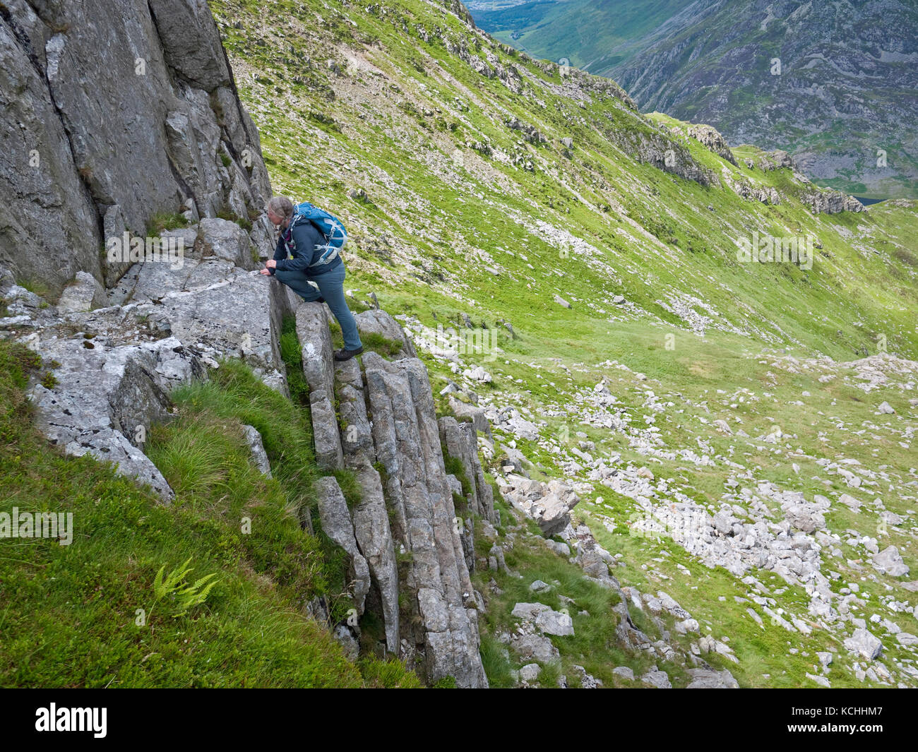 Una femmina di hill walker godendo il grado 1 scramble su 'false' Gribin, una cresta rocciosa su Snowdonia's Glyderau montagne che si affacciano sulla Bochlwyd Cwm Foto Stock