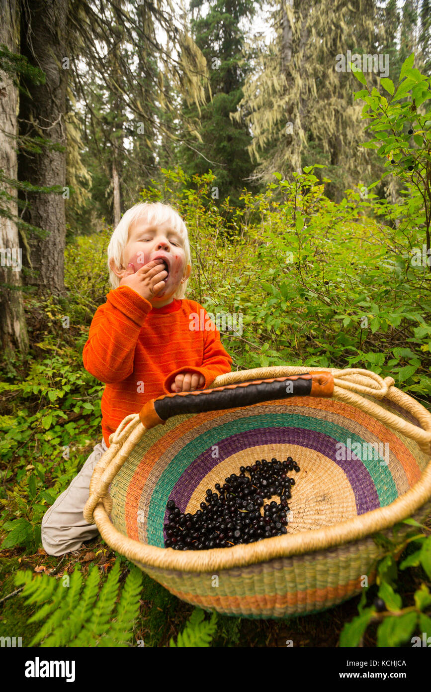 Un giovane berry picker opta per un semplice pasto!! Il Ghiacciaio Il Salmone Kokanee Parco Provinciale, BC Foto Stock
