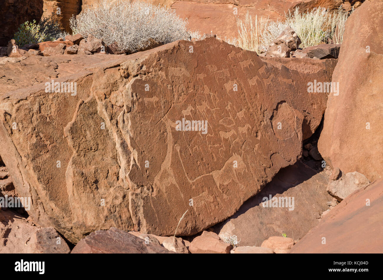 Animale famose incisioni rupestri a twyfelfontein in damaraland, Namibia, Sud Africa Foto Stock