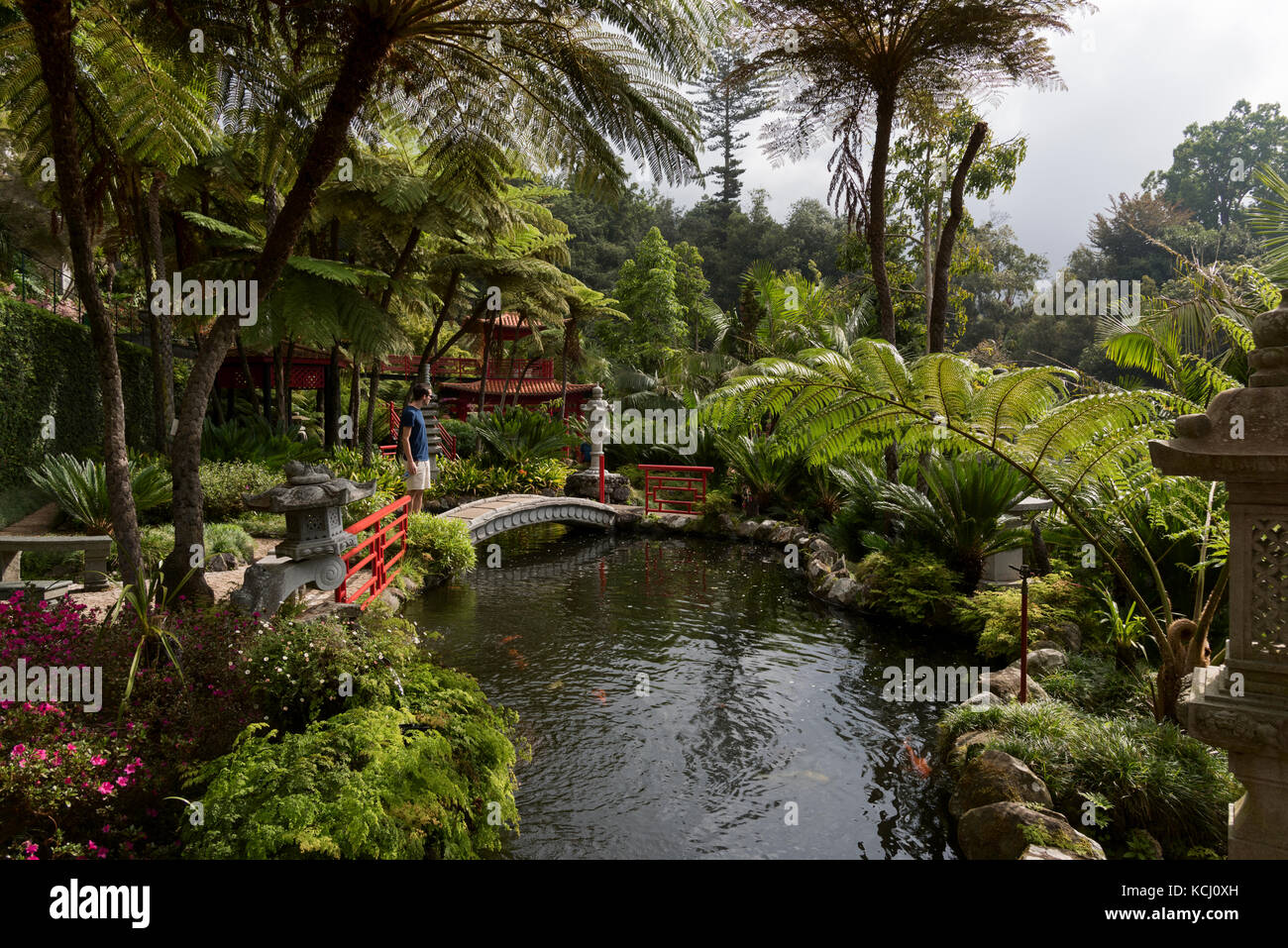 Un visitatore delle pause per ammirare il paesaggio del Monte Palace giardini tropicali vicino a Funchal, Madeira Foto Stock