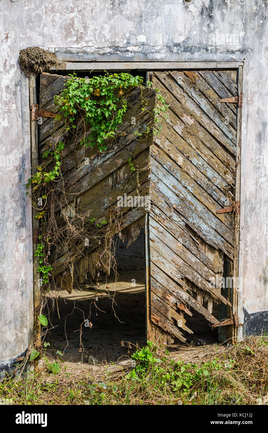 Rotto ed incolto porta in legno nella parete di cemento, robertsport, Liberia, Africa occidentale Foto Stock