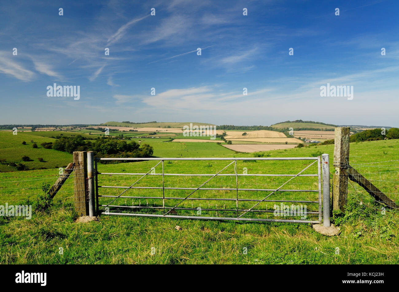 Un campo gate nella campagna di Wiltshire, guardando verso Little Knoll e lunga Knoll. Foto Stock