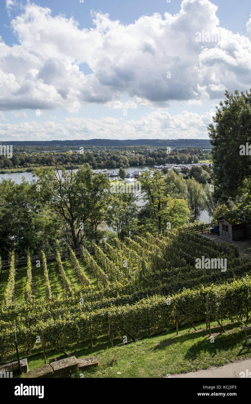 Vista della valle con il fiume Meuse presso le grotte a Maastricht, Olanda Foto Stock