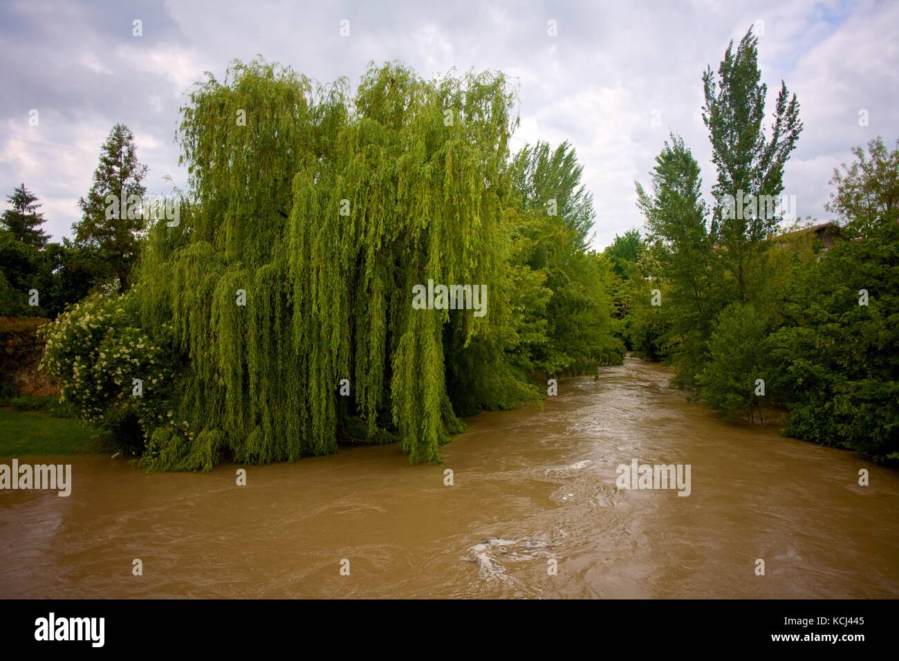Willow oltre il fiume lo scoppio delle banche popolari in una piccola città in Francia Foto Stock