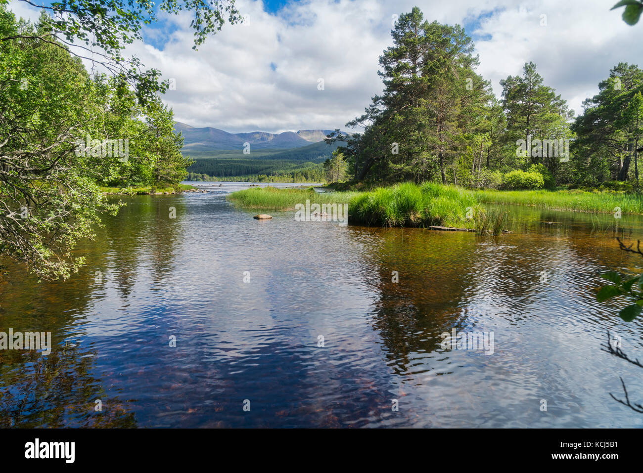 Cairngorms da Loch Morlich,, Aviemore Highland, Scotland, Regno Unito Foto Stock