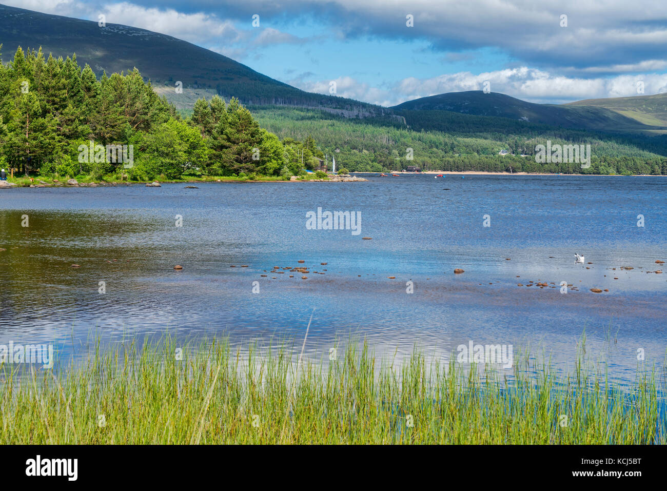 Cairngorms da Loch Morlich,, Aviemore Highland, Scotland, Regno Unito Foto Stock