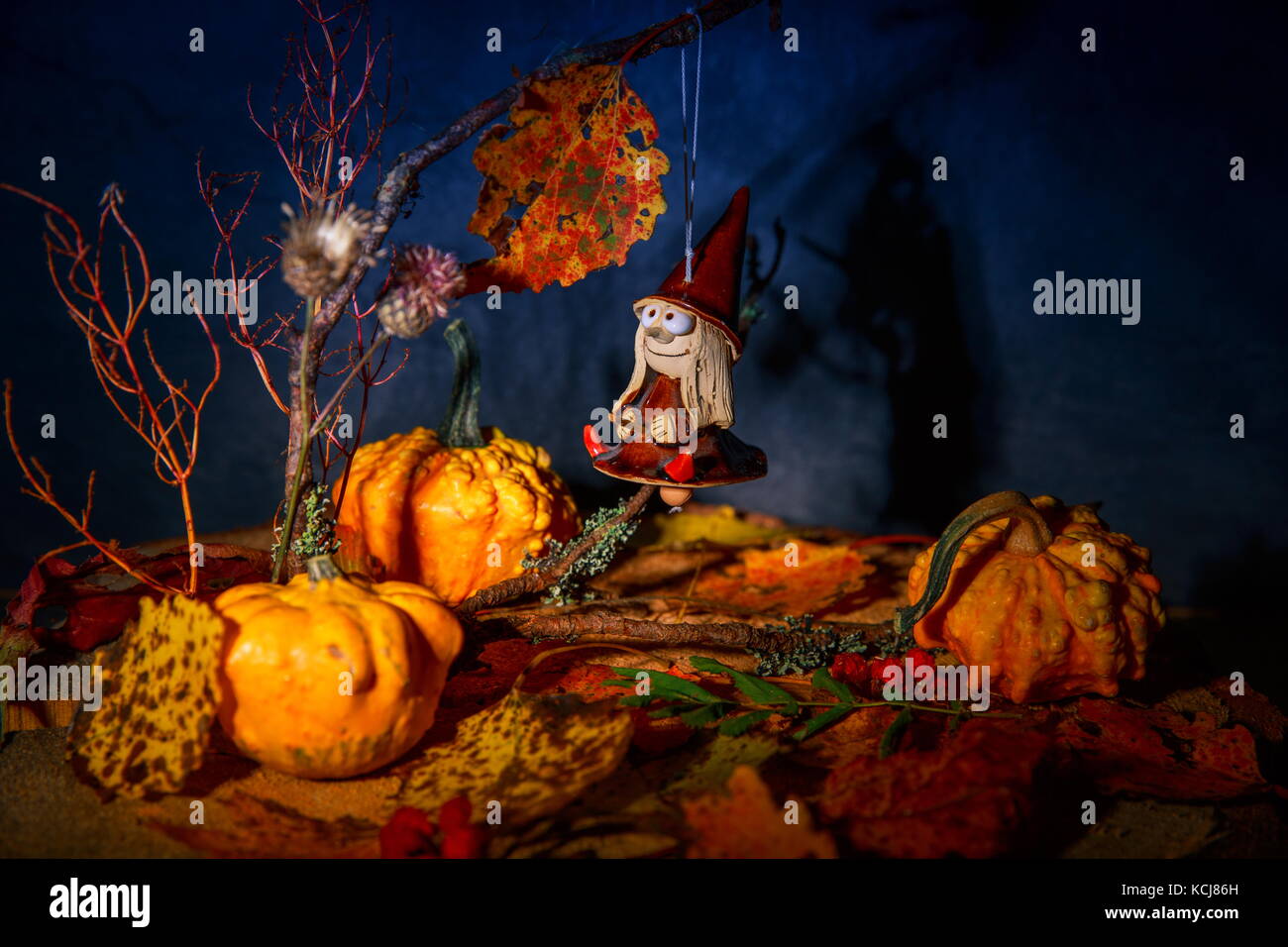 Misteriosa buona strega su una scopa in una fairy night autunno foresta con zucche di Halloween witch bambola giocattolo pendente. Foto Stock