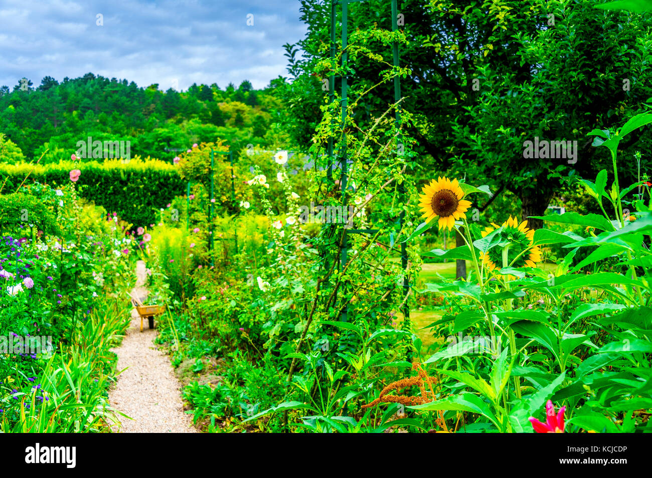 La bellissima Monet a Giverny, Francia Foto Stock