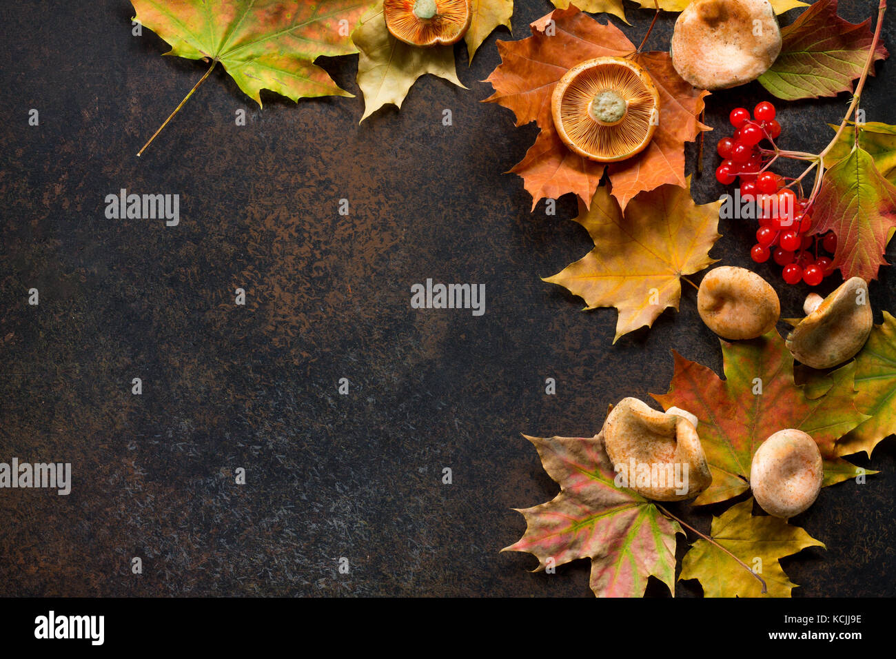 Autunno sfondo con autunno rami di acero con rosso e arancio foglie e bacche sulla pietra arrugginiti o ardesia sfondo. vista superiore con copia spazio. Foto Stock