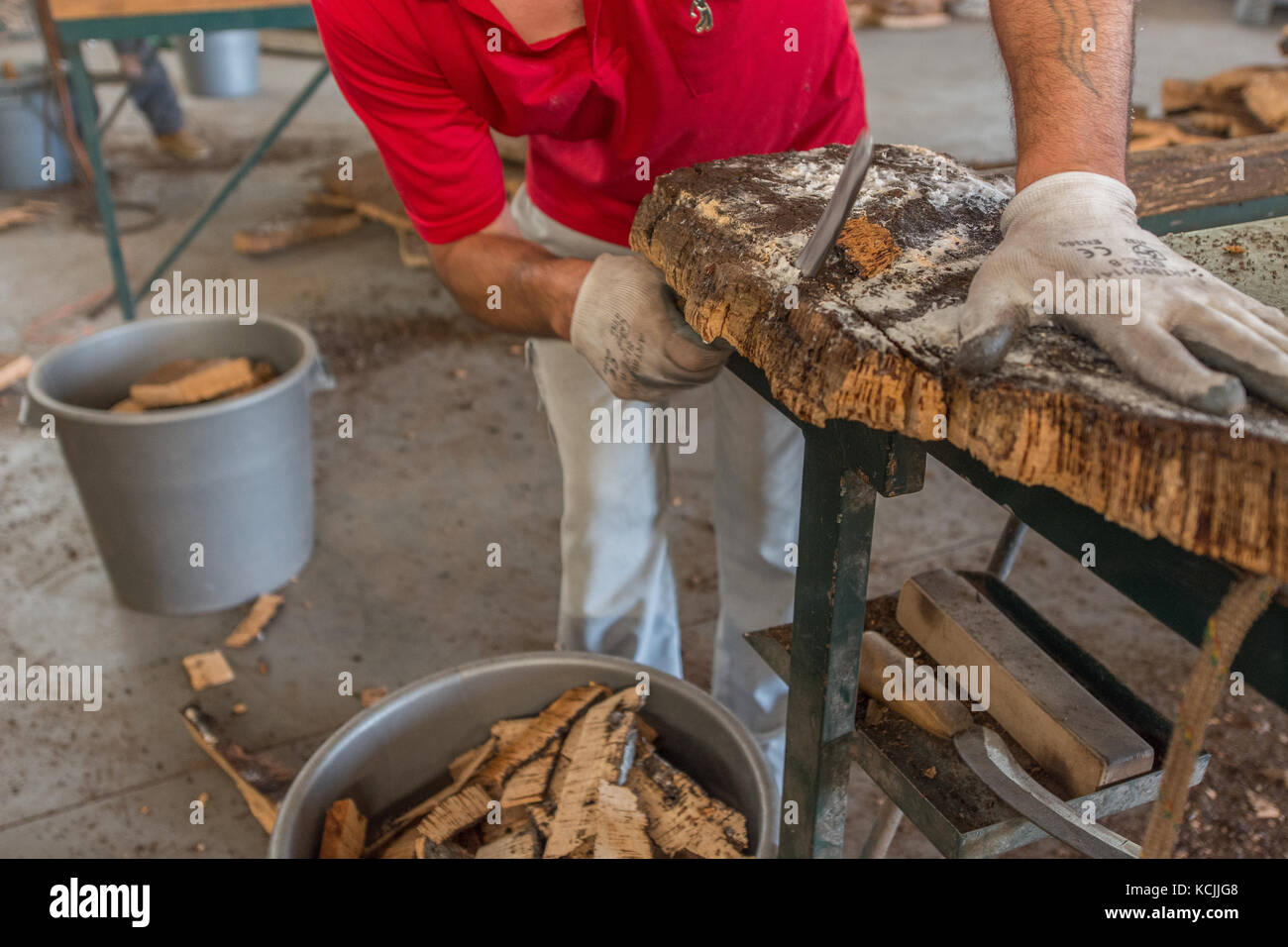 La produzione di sughero a Azaruja, Alentejo, Portogallo Foto Stock