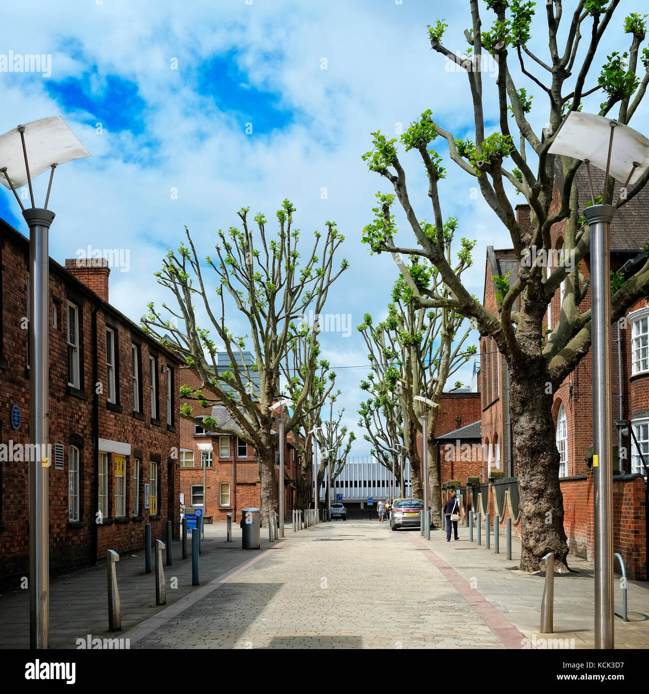 Rinverdire la città. alberi in Old Hall Street, Wolverhampton, Regno Unito Foto Stock