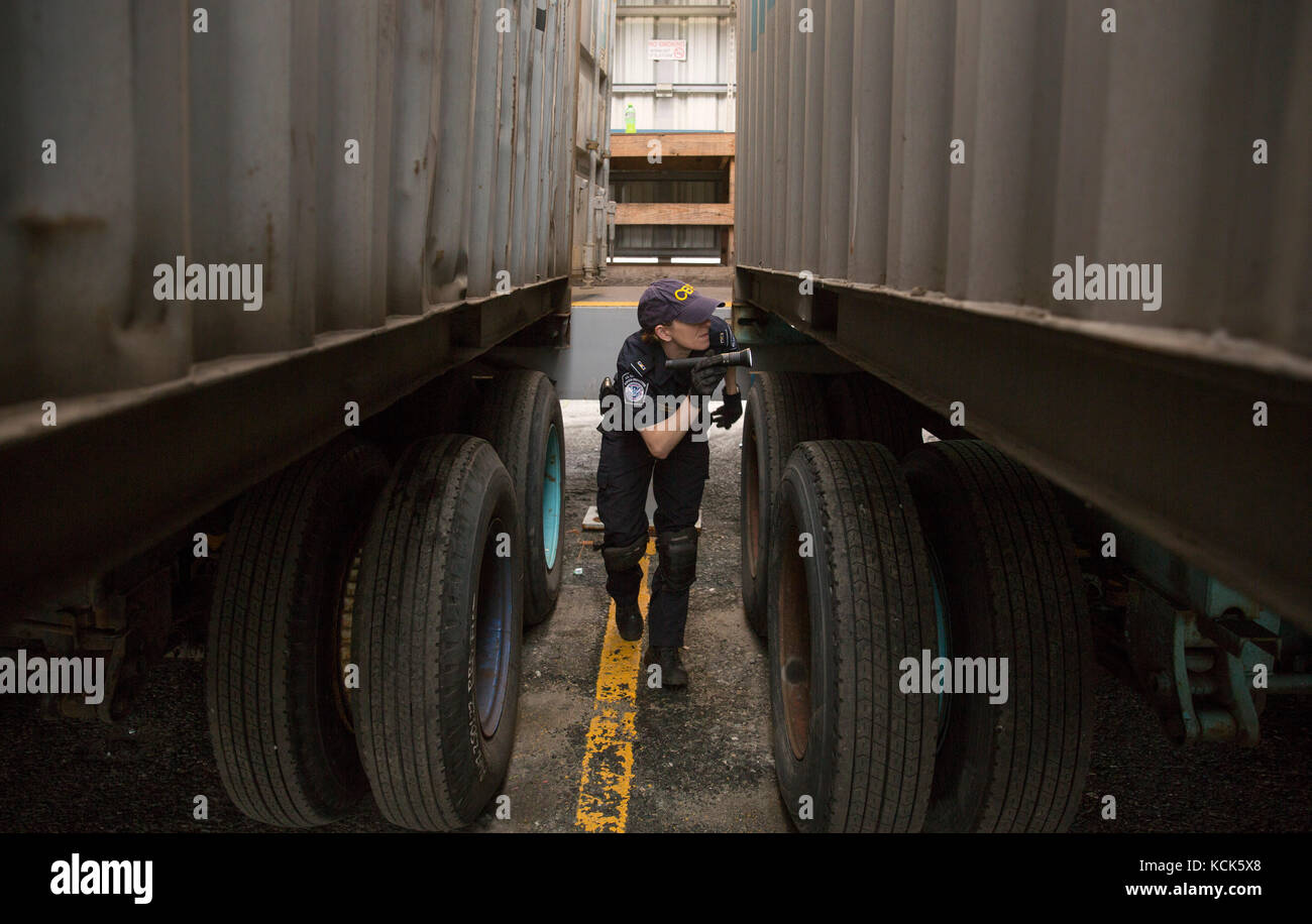 U.S. Customs and Border Protection National Agriculture Cargo targeting Unit Field Operations Inspection Officer ispezionano i contenitori di carico importati per individuare specie invasive di insetti e piante al porto di Baltimora il 26 luglio 2017 a Baltimora, Maryland. (Foto di Glenn Fawcett via Planetpix) Foto Stock