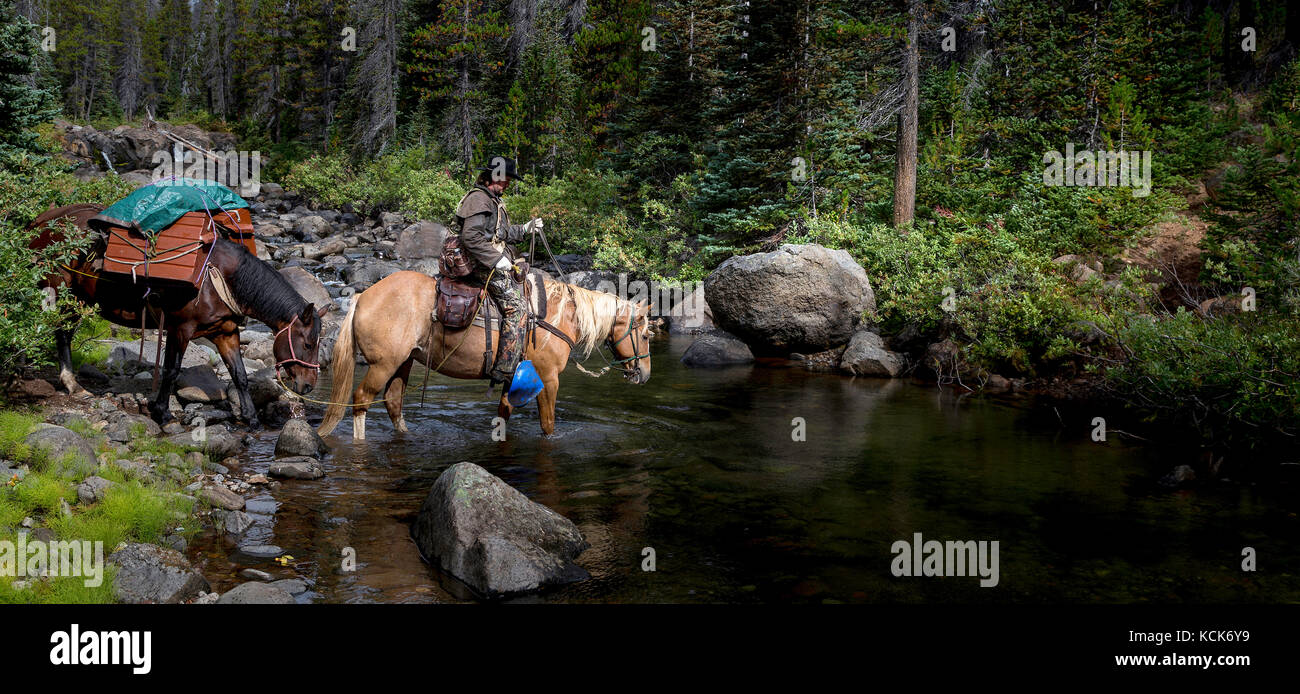 Canada, British Columbia, Chilcotin, Chilcotin Arca, paese indietro, Tweedsmuir Park, Rainbow vulcano, Rainbow montagne, pack outfitter, pacchetto viaggio, guida outfitter, trail ride, pack treno, cavalli, Foto Stock Canada, British Columbia, Chilcotin, Chilcotin Arca, paese indietro, Tweedsmuir Park, Rainbow vulcano, Rainbow montagne, pack outfitter, pacchetto viaggio, guida outfitter, trail ride, pack treno, cavalli, Foto Stock