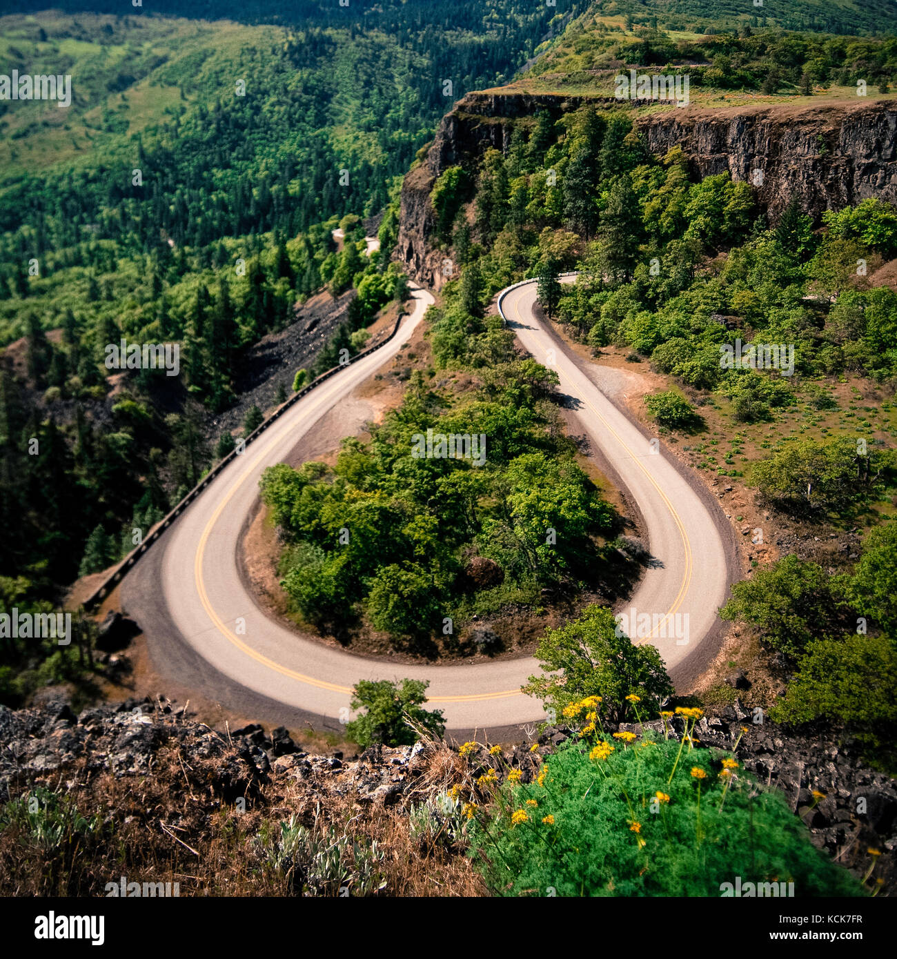Rowena crest è un punto di vista iconico che crea una curva a ferro di cavallo lungo la strada con ampie vedute delle colline circostanti, scogliere e Columbia River Gorge di seguito. Foto Stock