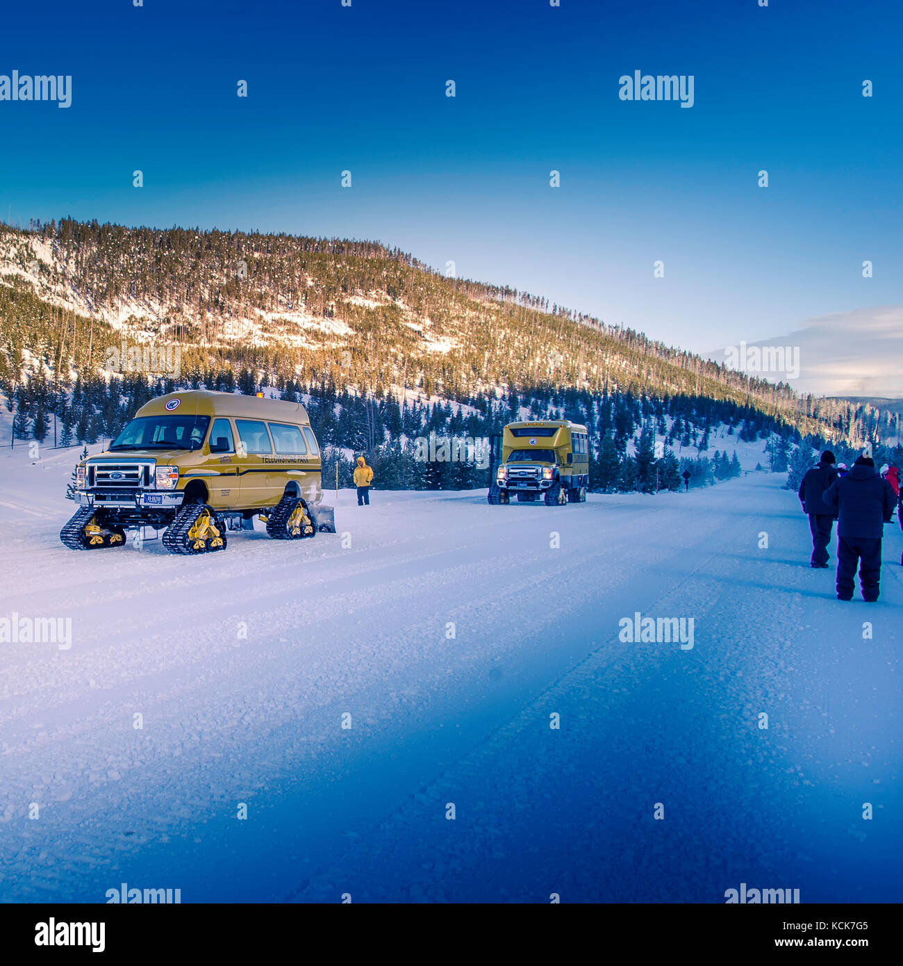 I tour in pullman di neve ti sveleranno i segreti del parco, mentre un naturalista ti guiderà attraverso gli splendori del primo parco nazionale di Mammoth, Yellow Foto Stock