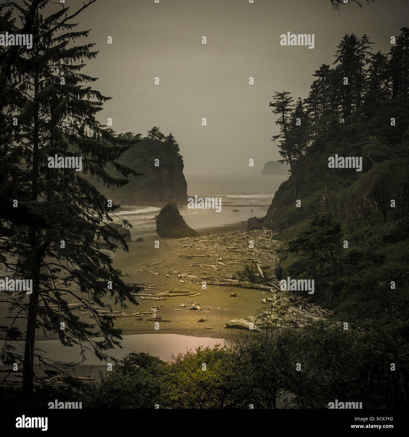 Spiaggia di ruby da olympic deserto della linea costiera penisola olimpica, nello stato di Washington, USA Foto Stock