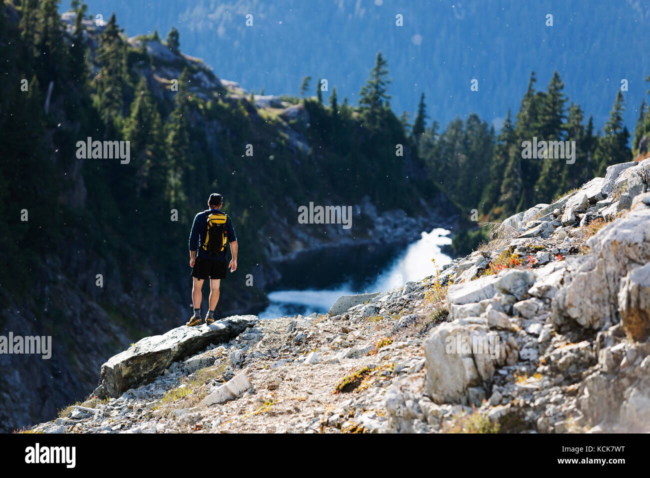 I semi di Cottonwood galleggiano nell'aria mentre un escursionista si ferma a guardare fuori sul lago Little Jim mentre discende dal Drinkwater Pass. Strathcona Park , Central Vancouver Island, British Columbia, Canada. Foto Stock