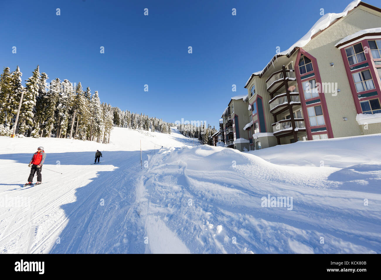 Monte Washington offre facile accesso alle piste da sci con sistemazioni in slopeside tra cui Alpine and Bear Lodge, la Comox Valley, Vancouver Island, British Columbia, Canada. Foto Stock