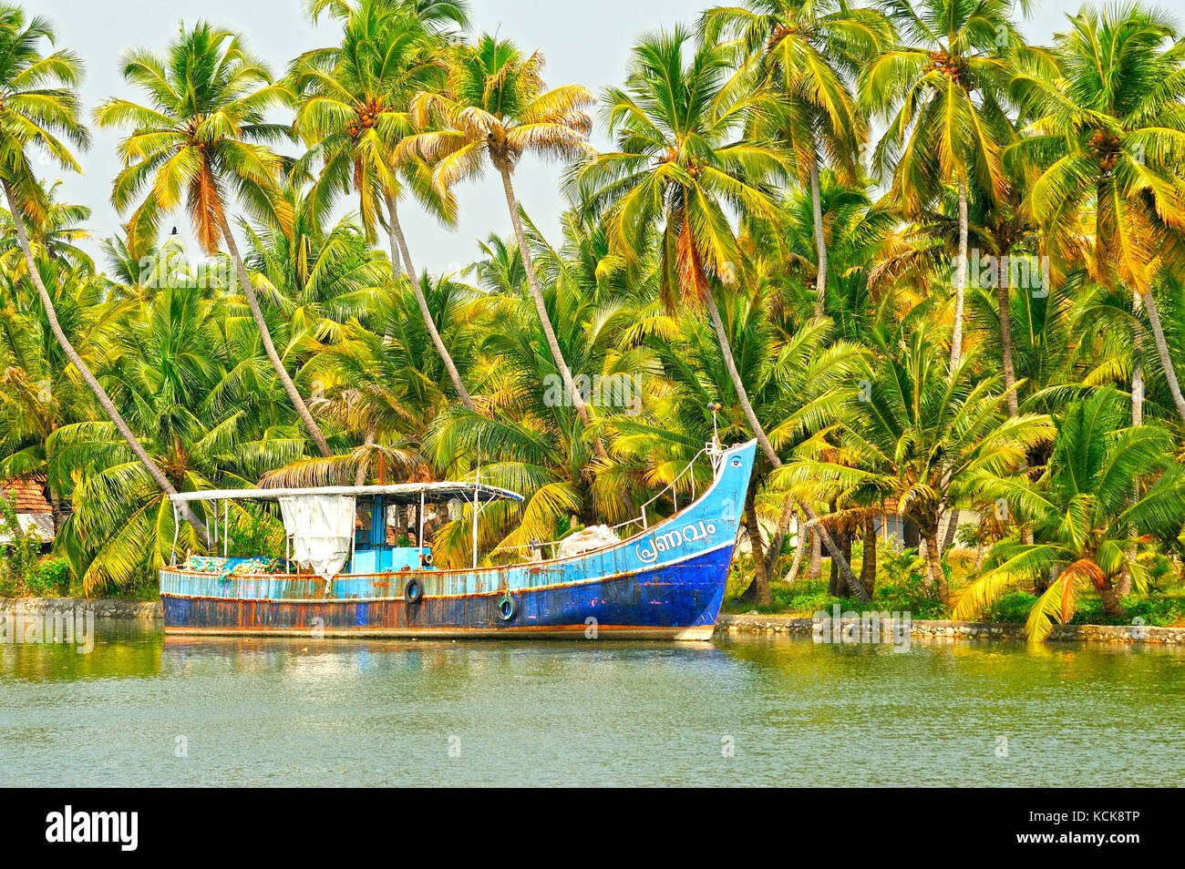 Ormeggiate barche da pesca nelle lagune tra quilon e cochin, Kerala, India Foto Stock