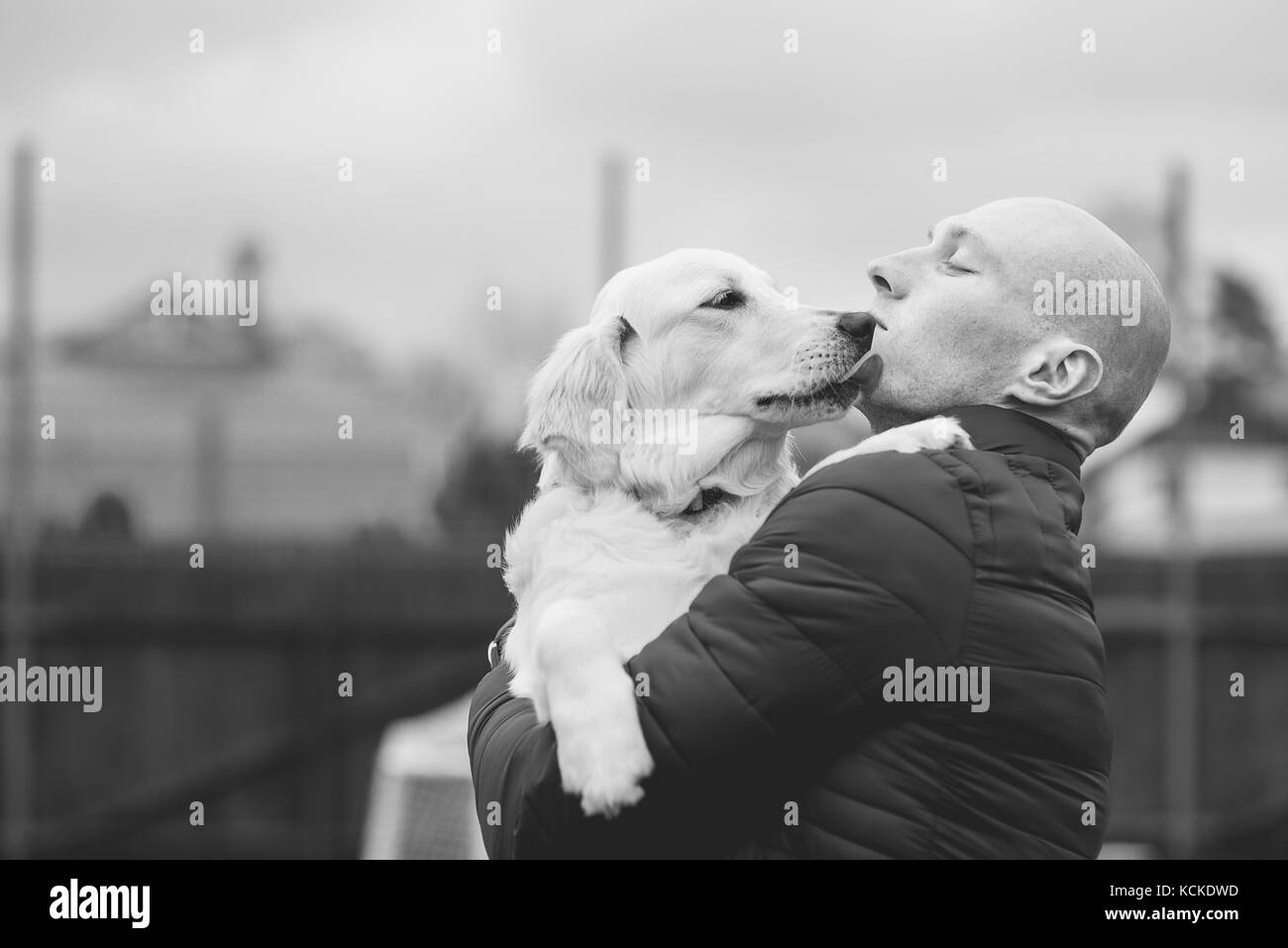 Il golden retriever cane e uomo Foto Stock