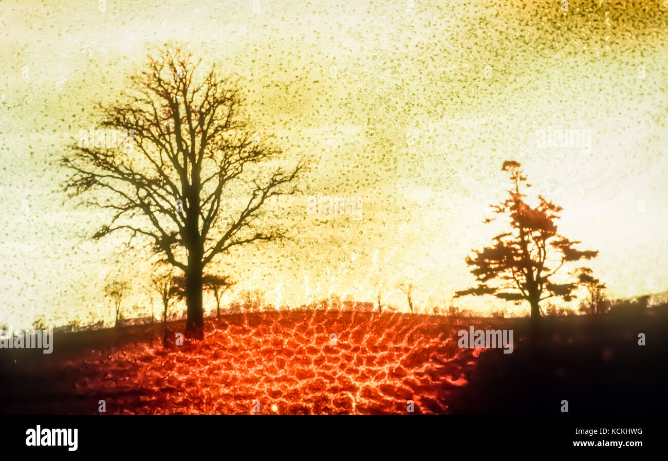 Background artistico con alberi e texture Foto Stock