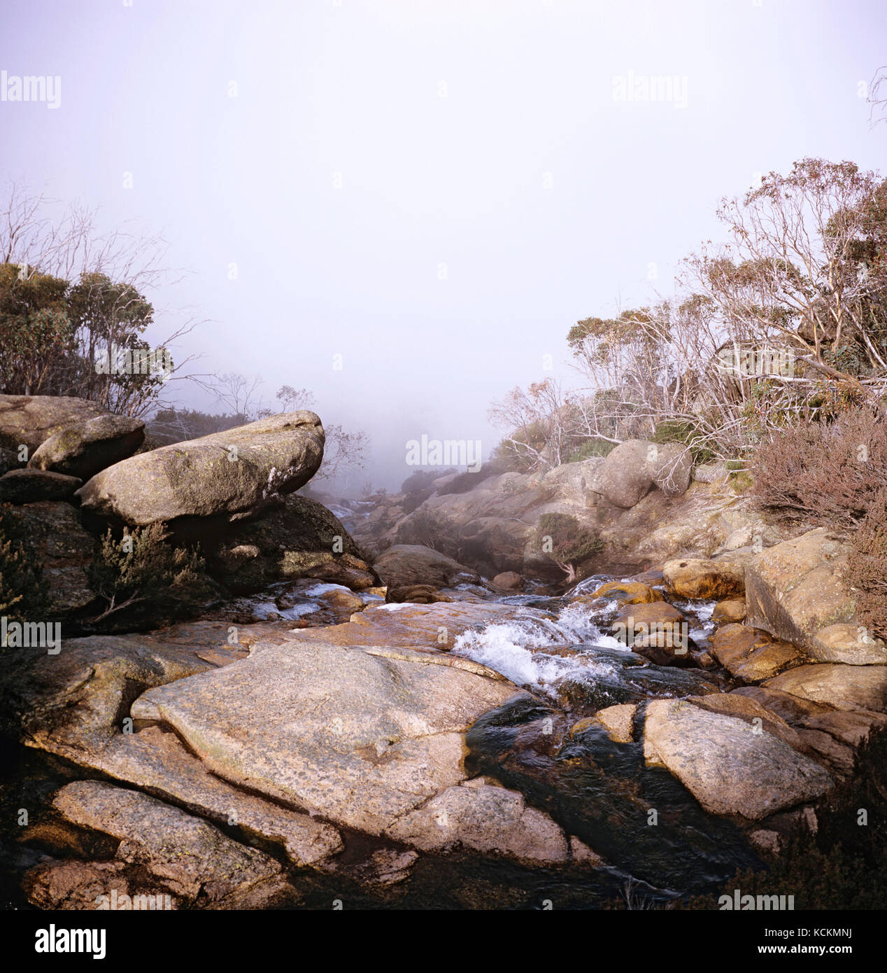 Cascate di Dicksons, Mount Buffalo National Park, Victoria, Australia Foto Stock