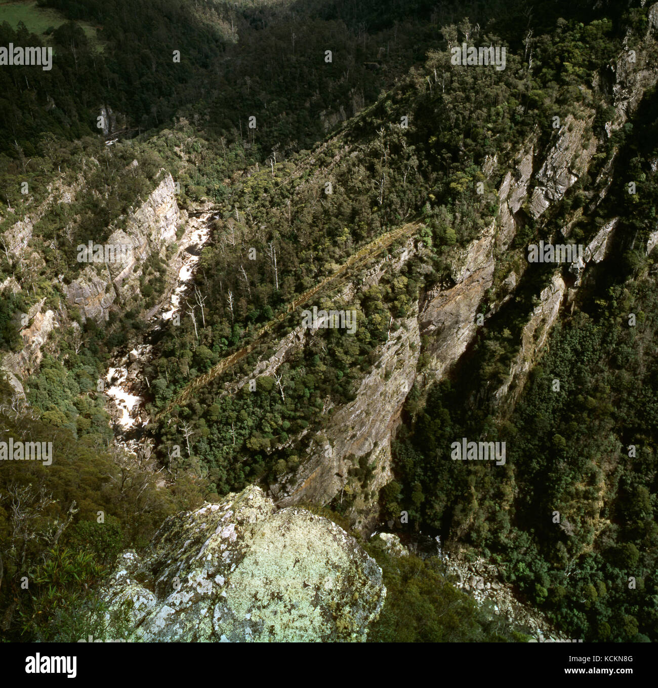 Leven Canyon, dall'alto: Il fiume Leven attraversa un'anticline di conglomerati ordovici e arenaria. Tasmania nord-occidentale, Australia Foto Stock