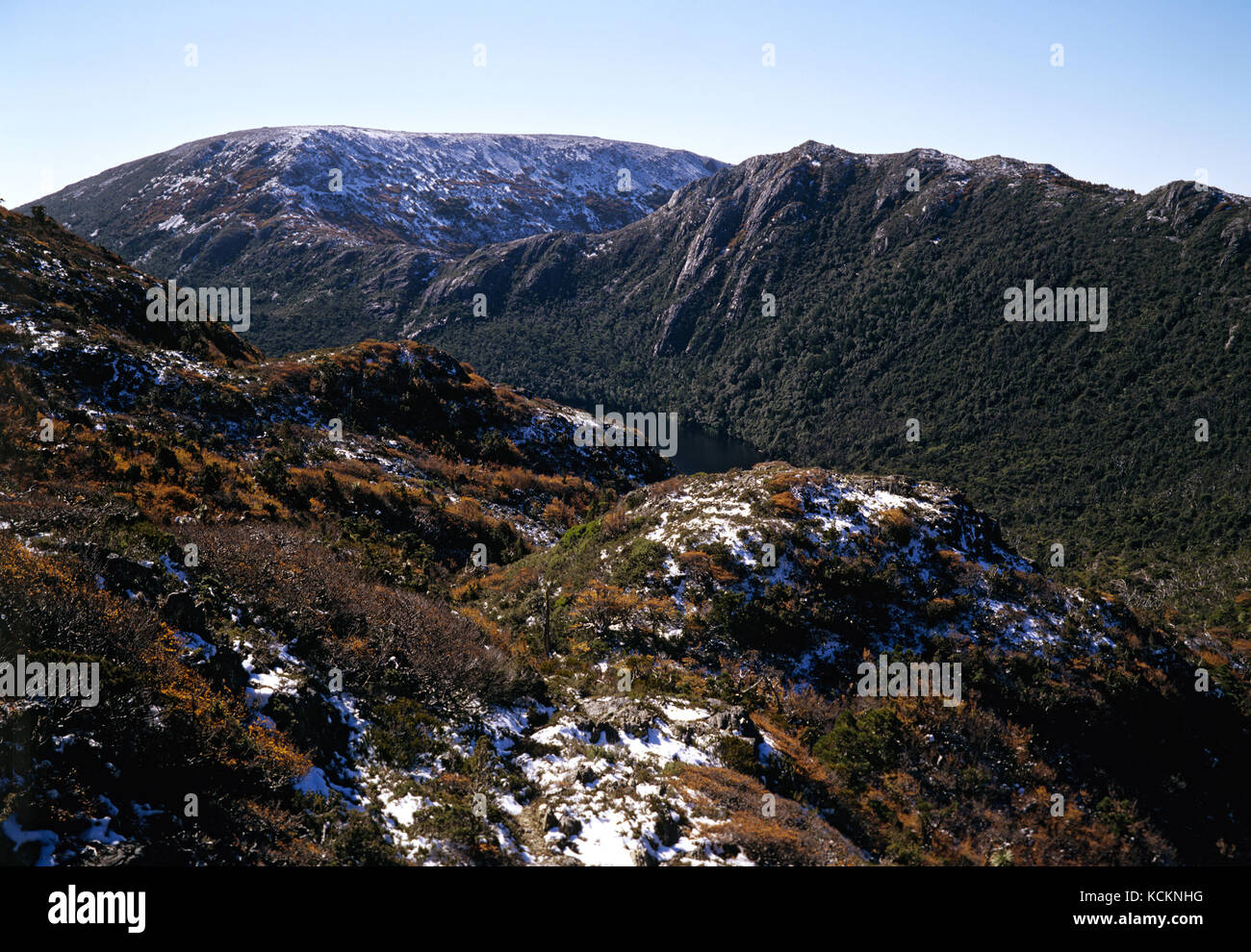 Altopiano alpino con cresta e faggi decidui (Fuscospora gunnii) a fine autunno. Cradle Mountain-Lake St Clair National Park, Tasmania, Au Foto Stock