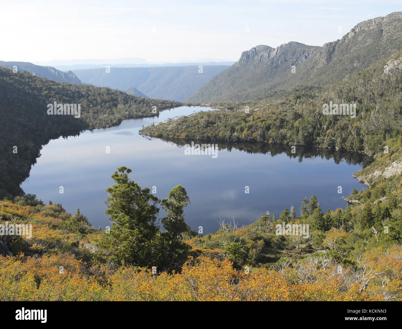 Lago Hanson con faggi decidui (Fuscospora gunnii) in autunno. Cradle Mountain-Lake St Clair National Park, Tasmania, Australia Foto Stock