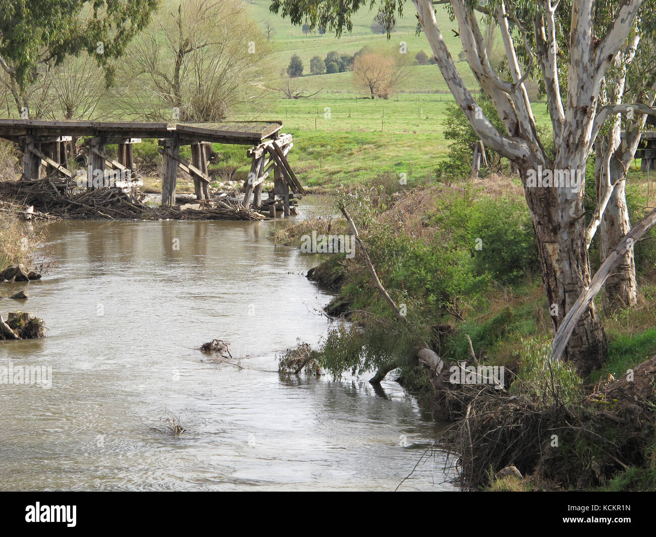 Ponte di Trestle su Tallangatta Creek che un tempo portava la linea da Wodonga a Corryong e presto per essere parte del High Country Rail Trail per camminare Foto Stock
