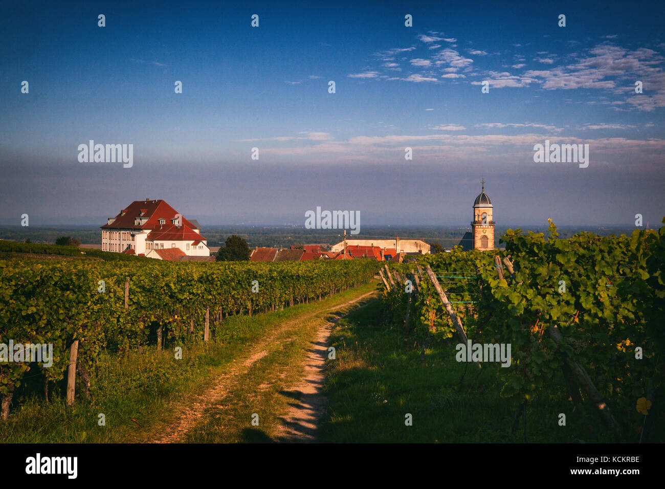 La tranquilla vigneti intorno alla città di Saint-Hippolyte sono luogo ideale per trovare ispirazione creativa. Foto Stock