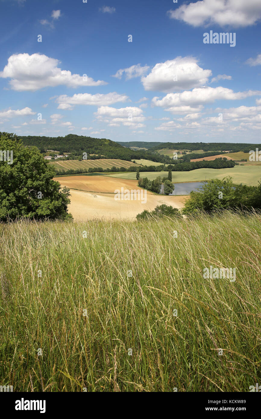 Paesaggio rurale di il dipartimento del Lot-et-Garonne, nella zona chiamata "Pays de Serres' Foto Stock