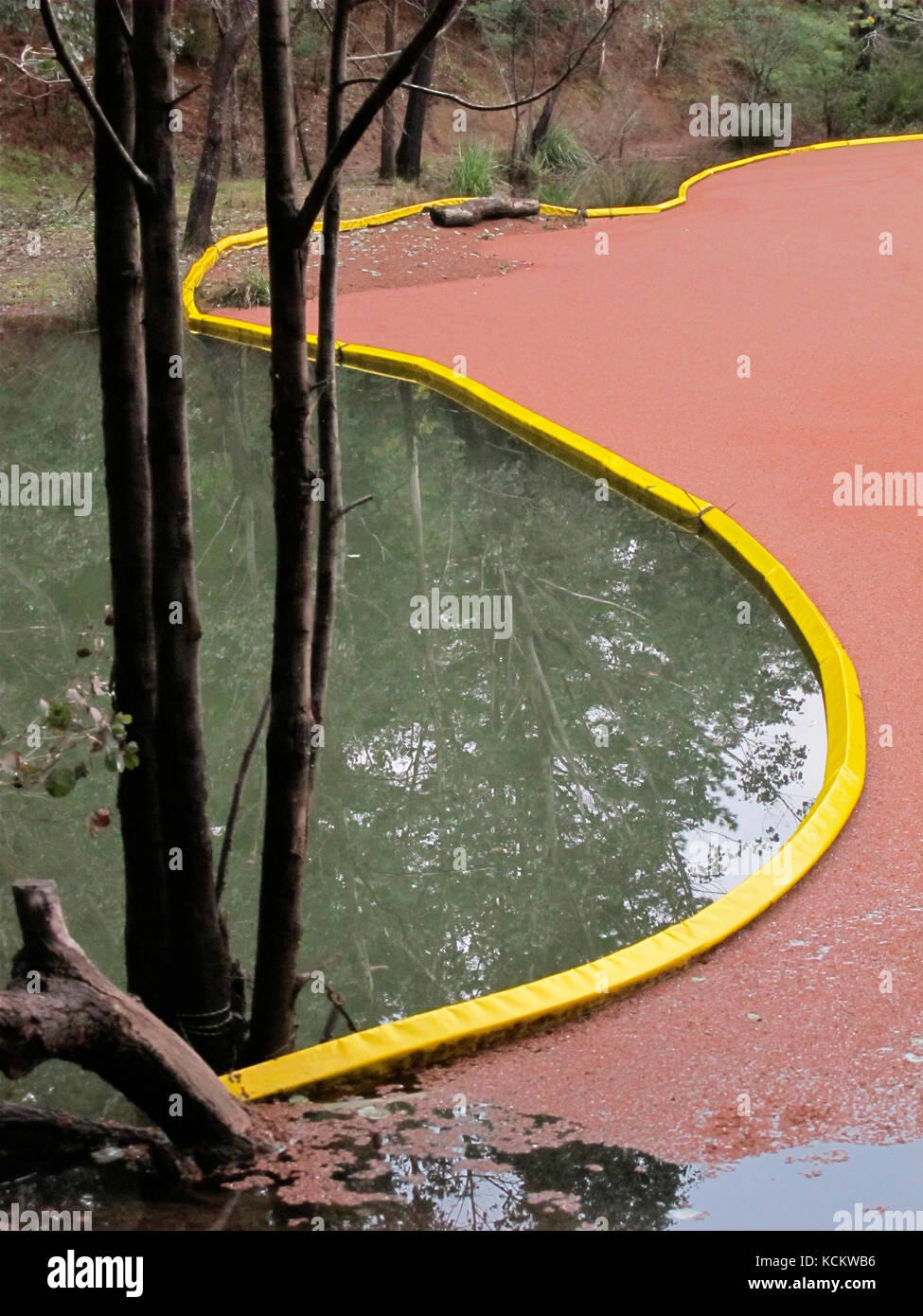 Barriera di contenimento galleggiante che viene utilizzata per impedire la diffusione di una fioritura di alghe rosse ad una presa di alimentazione di acqua. Harrietville, Victoria, Australia Foto Stock