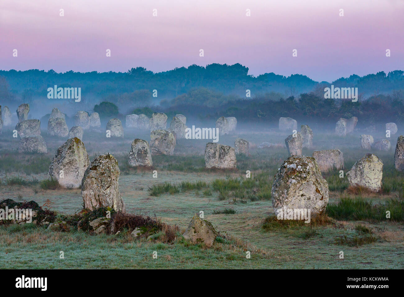 Carnac (Brittany, Francia occidentale): allineamenti di menhir, pietre permanente di Menec Foto Stock