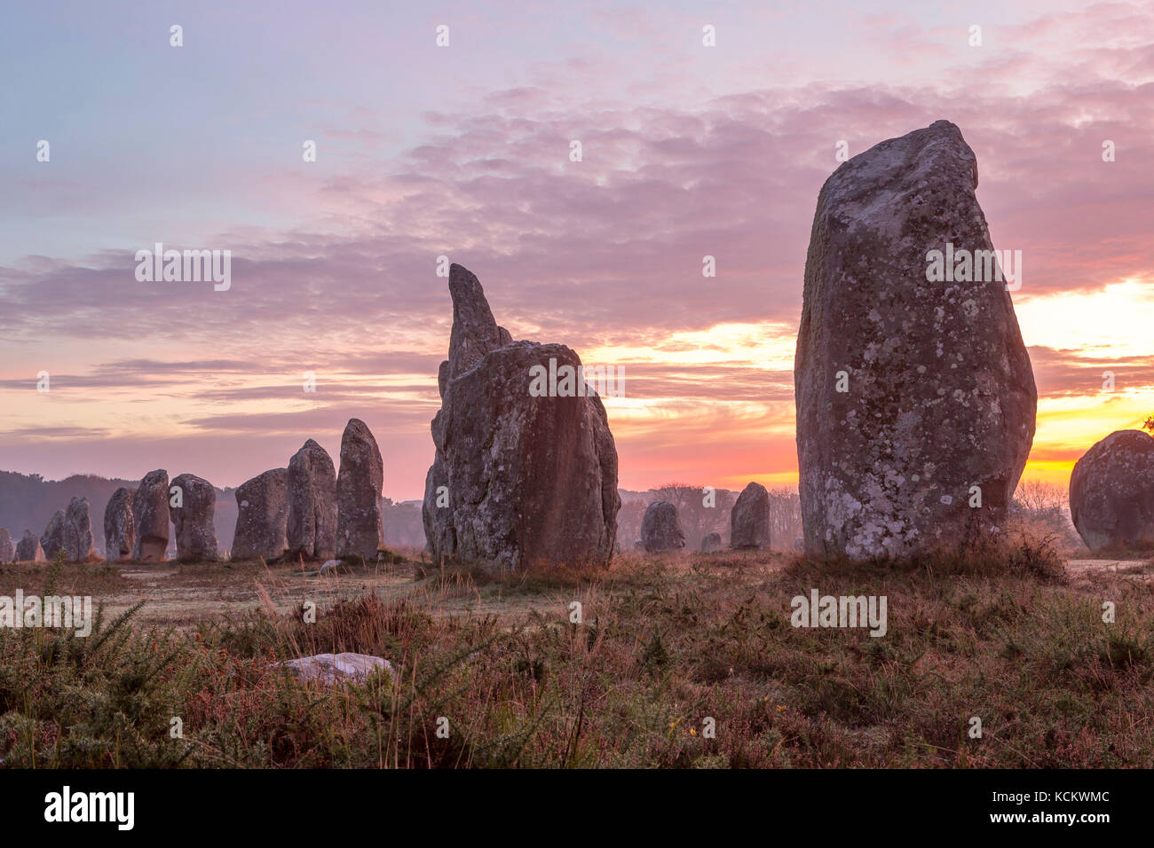 Carnac (Brittany, Francia occidentale): allineamenti di menhir, pietre permanente di Kerlescan Foto Stock