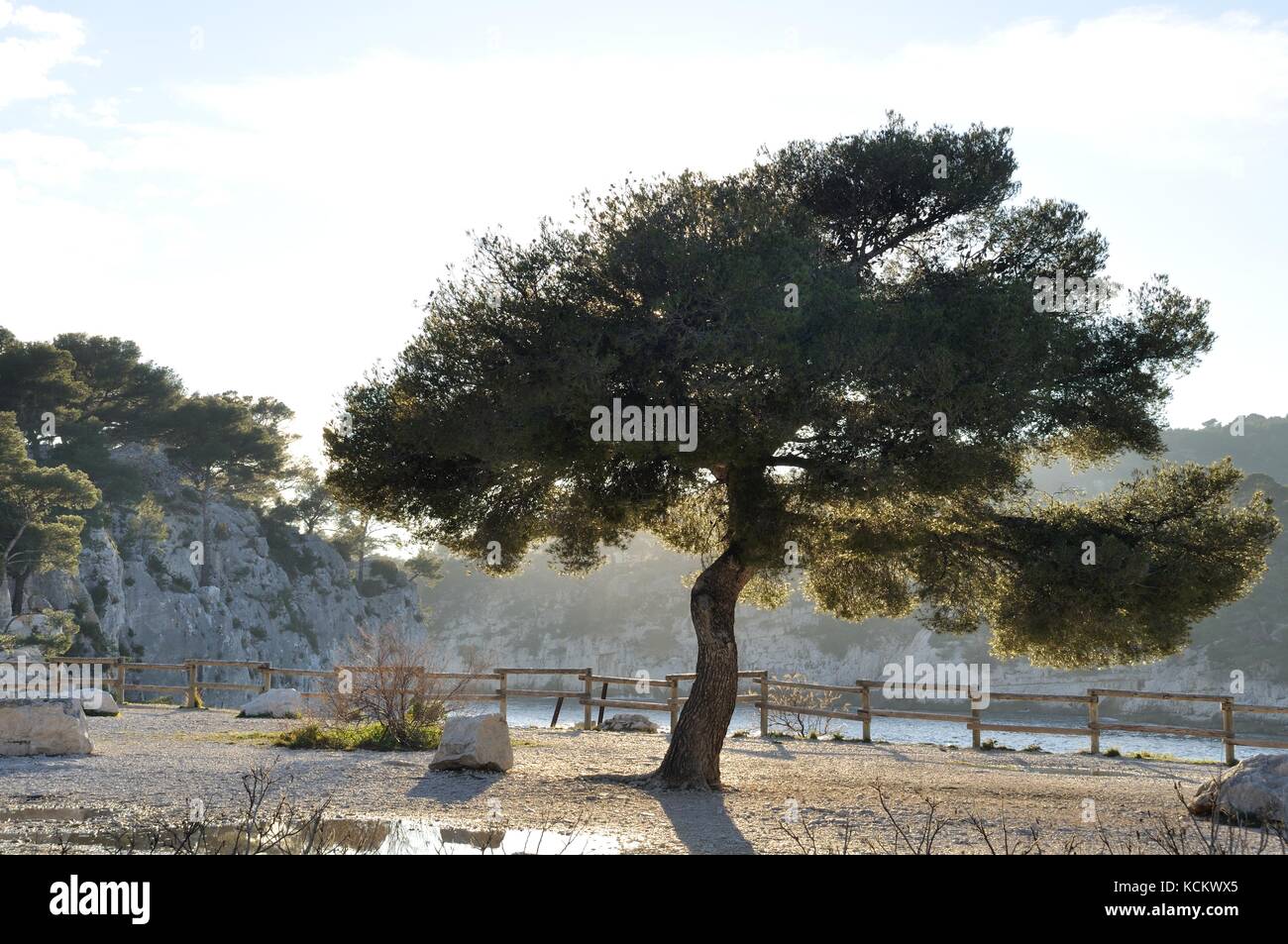 Francia, Provenza-Alpi-Côte Azzurra, Bocche del Rhône, Cassis Foto Stock