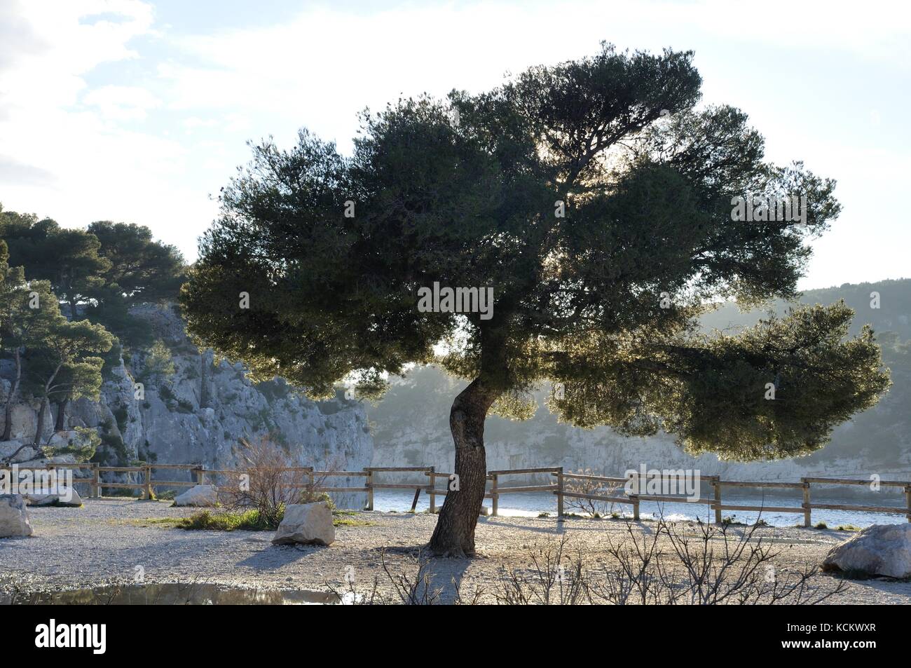 Francia, Provenza-Alpi-Côte Azzurra, Bocche del Rhône, Cassis Foto Stock