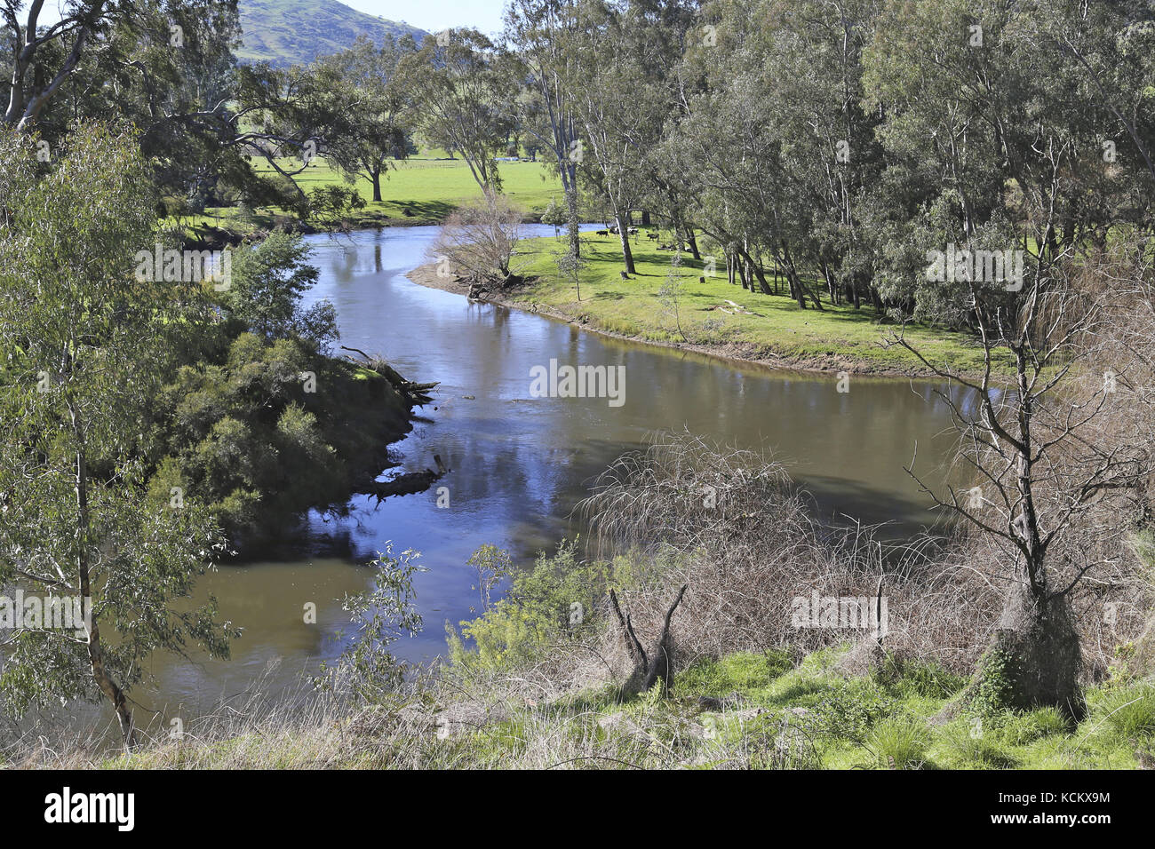 Tranquillo accesso al fiume Mitta Mitta che sfocia nel lago Hume per diventare parte del sistema di irrigazione del fiume Murray. Victoria nord-orientale, Austral Foto Stock