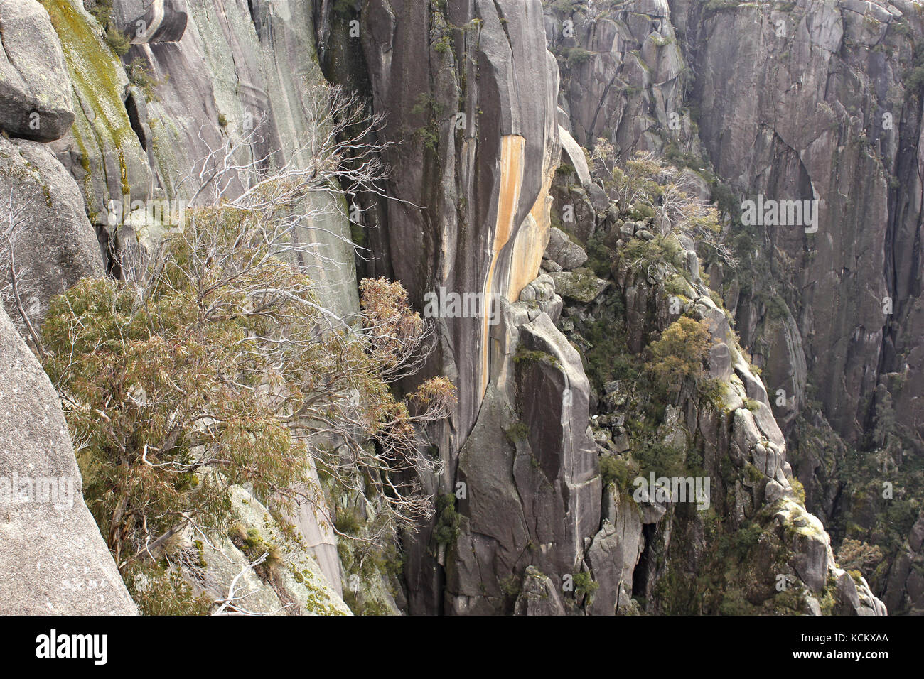 La Gola al Monte Buffalo, arrampicata su roccia e luogo di lancio per gli hangglider. Mount Buffalo National Park, Victoria nord-orientale, Australia Foto Stock