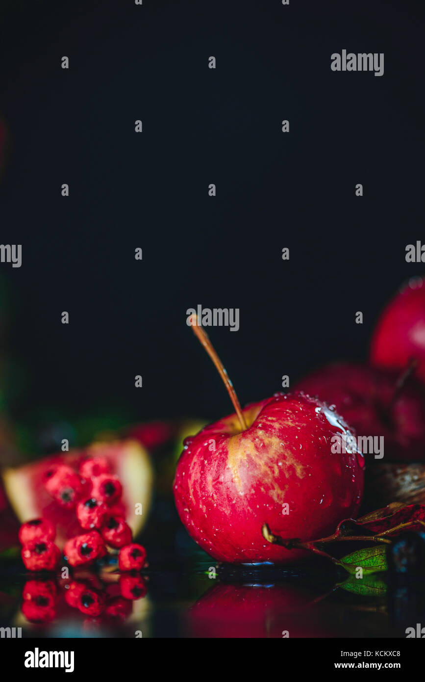 Rosso apple in miniatura di close-up in un autunno ancora in vita con caduta foglie scure della fotografia di cibo con copia spazio. rowan bacche e figura di fetta di frutta. Foto Stock