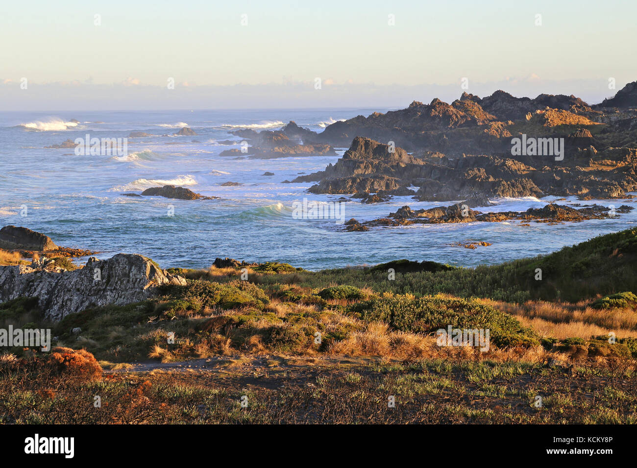 Linea costiera selvaggia vicino a Couta Rocks, Arthur Pieman Conservation Area, regione Tarkine, Tasmania nord-occidentale, Australia Foto Stock