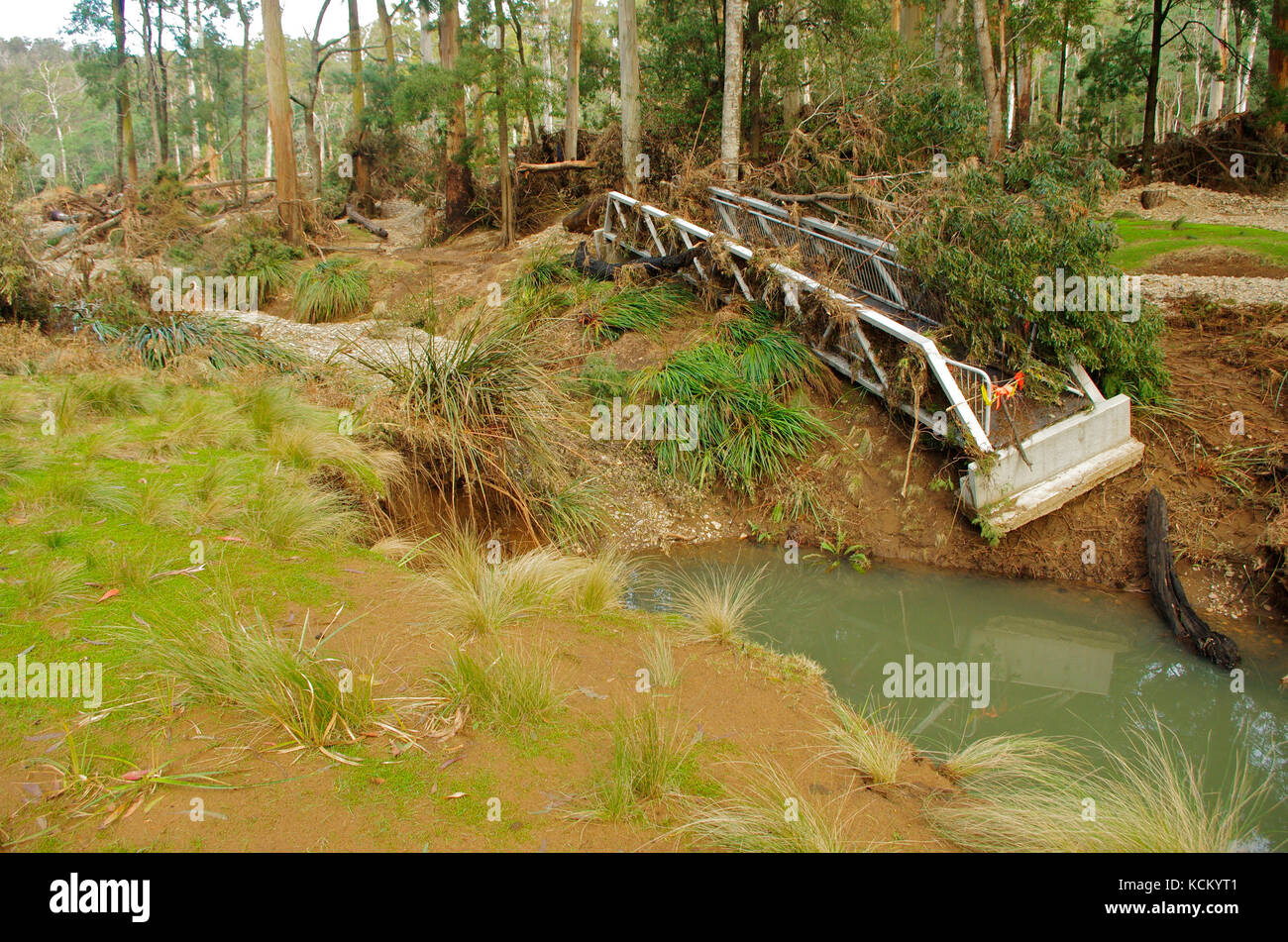 Danni da alluvione alla piattaforma di visualizzazione dei platypus. Warrawee Forest Reserve, Latrobe, Tasmania nordoccidentale, Australia Foto Stock