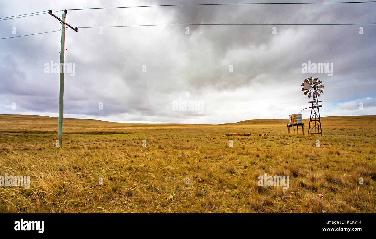 Texas ruota in outback a tumut Nuovo Galles del Sud Australia Foto Stock