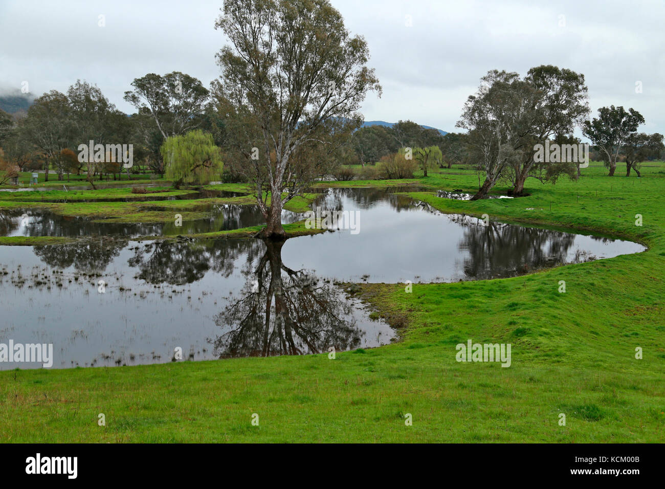 Gli appartamenti del fiume Kiewa si trovano tra Kiewa e Tangambalanga, vicino a Wodonga, Victoria, Australia Foto Stock