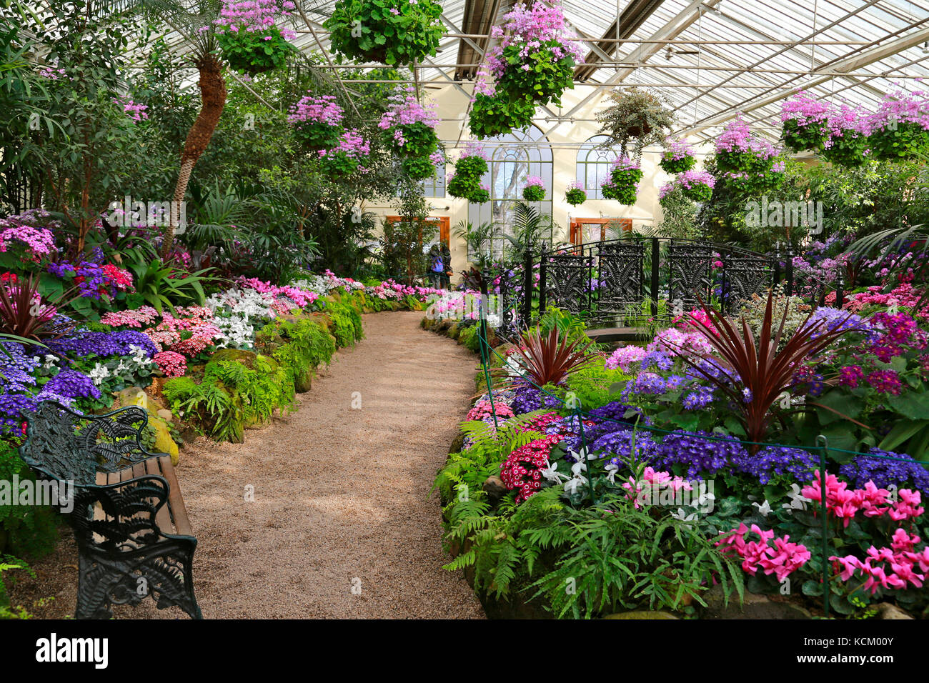 Mostra colorata di fiori nei letti e cesti pendenti nel Fitzroy Gardens Conservatory costruito nel 1930. Melbourne, Victoria, Australia Foto Stock
