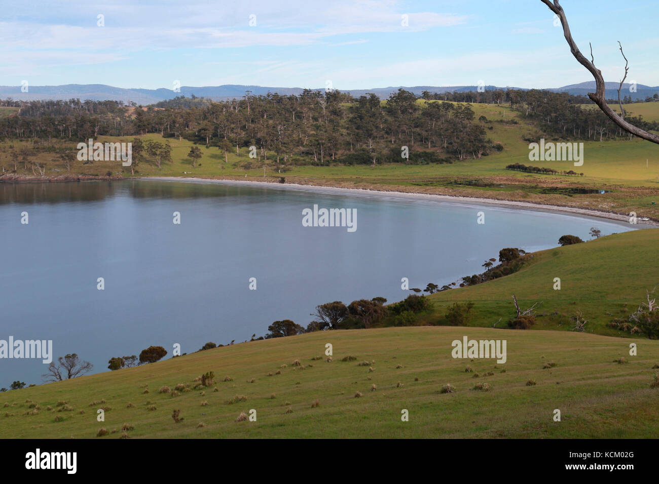 Okehampton Bay, sede di una controversa espansione dell'industria dell'allevamento del salmone della Tasmania. Tasmania, Australia Foto Stock