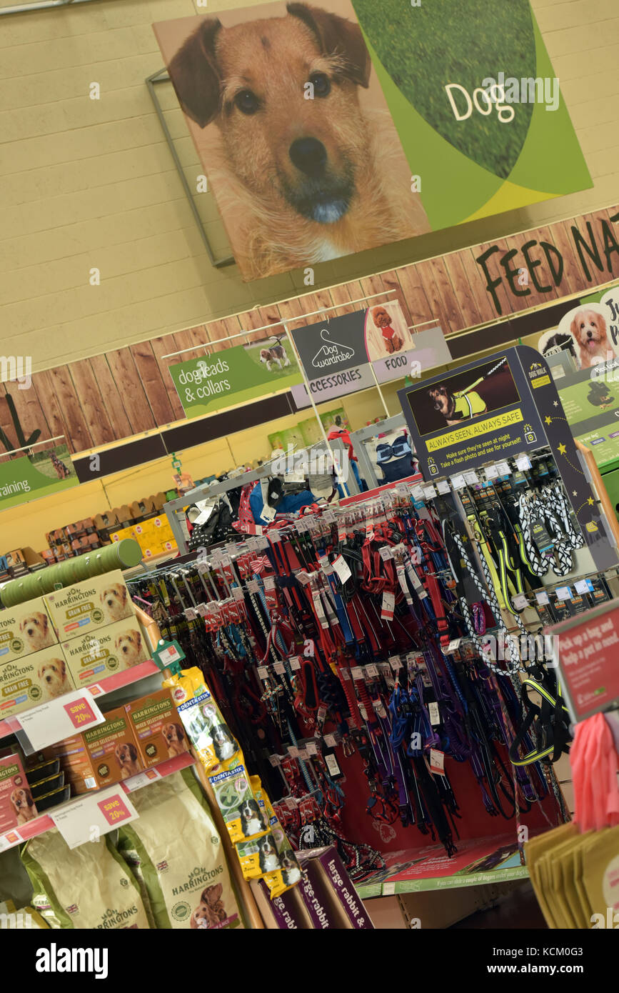 Una selezione di collari di cane e conduce in vendita presso un grande high street di marca forniture pet store. Foto Stock