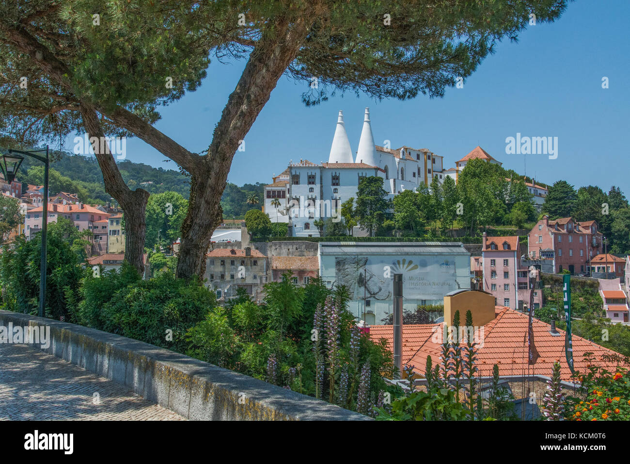 Palácio Nacional de Sintra, Sintra, Portogallo Foto Stock