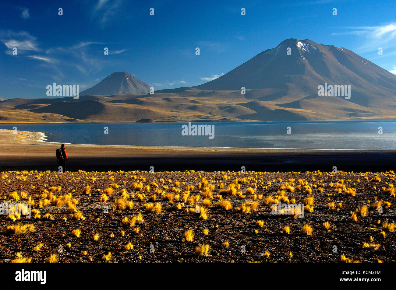 il-cile-deserto-di-atacama-los-flamencos-riserva-naturale-miscanti