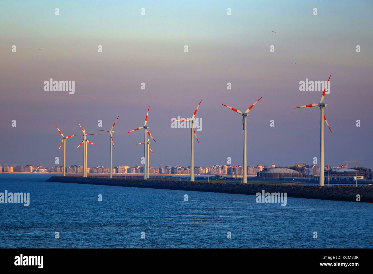 Wind Farm al crepuscolo, Zeebrugge Docks, Zeebrugge, Belgio Foto Stock